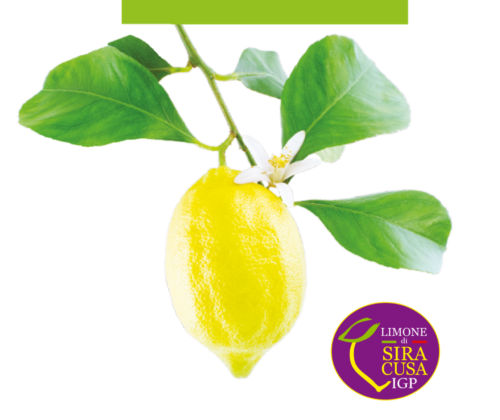 Campisi-Citrus-Limone-IGP Campisi-Citrus-Limone-IGP
