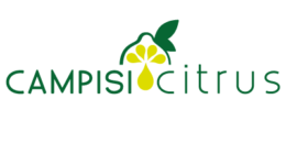 logo-citrus